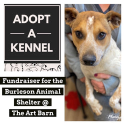 Burleson Animal Shelter