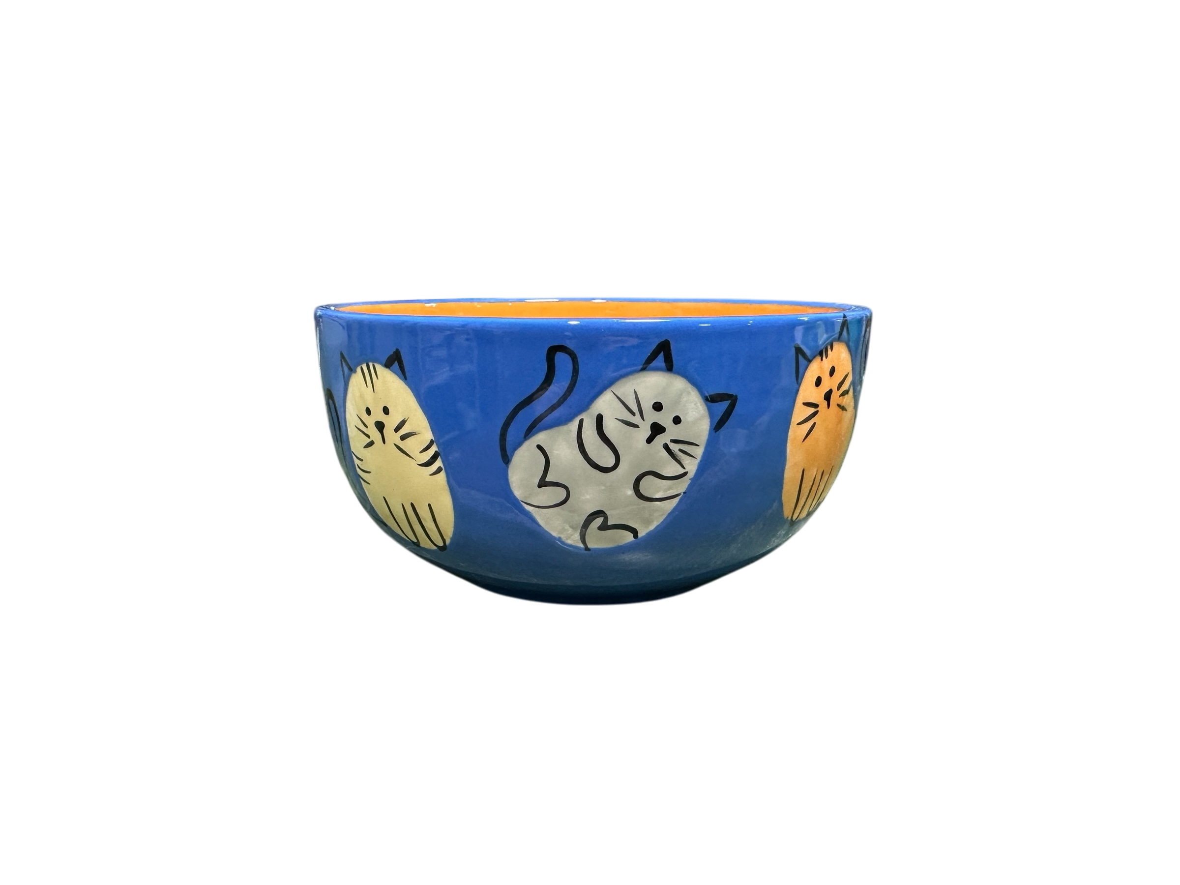 Summer Camp-Cat Bowl