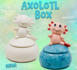 Summer Camp-Axolotle Box