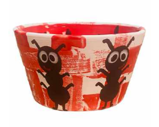 Summer Camp Ant Bowl